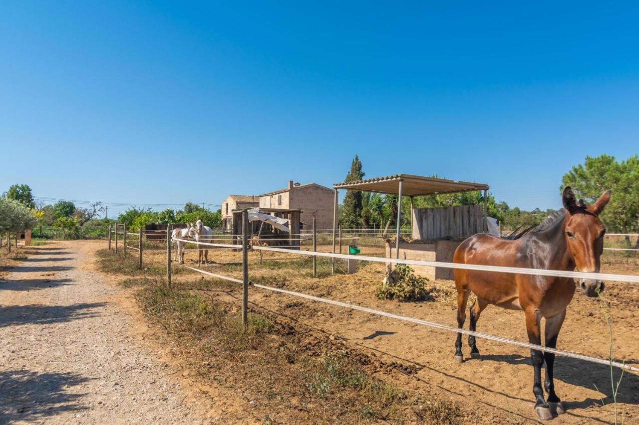 Lo Den Creus Chalet